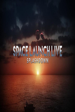 Watch Free Space Launch Live: Splashdown (2020)