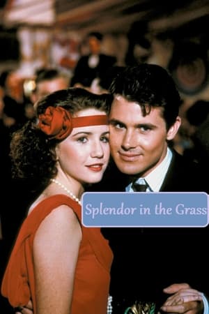 Watch Free Splendor in the Grass (1981)