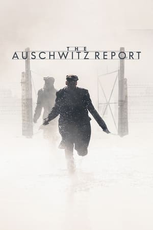 Watch Free The Auschwitz Report (2021)