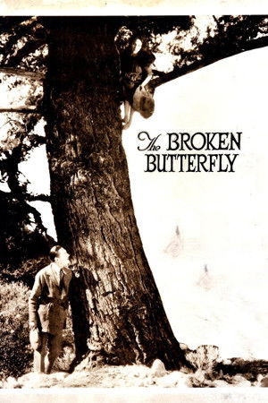 Watch Free The Broken Butterfly (1919)