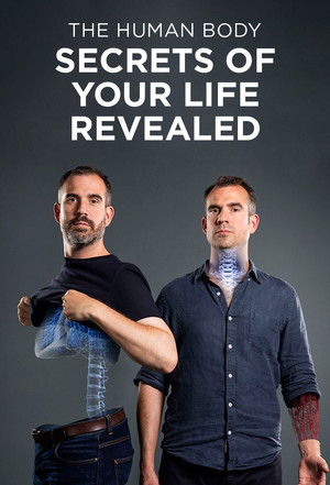 Watch Free The Human Body Secrets of Your Life Revealed (2017)