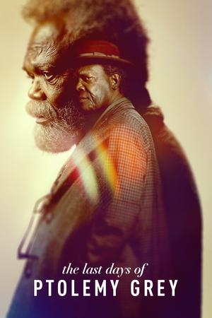 Watch Free The Last Days of Ptolemy Grey (2022-)