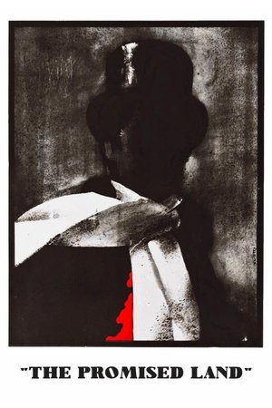 Watch Free The Promised Land (1975)