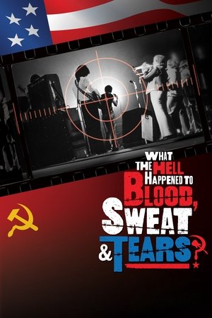Watch Free What the Hell Happened to Blood, Sweat Tears (2023)