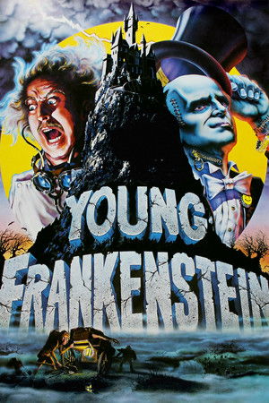 Watch Free Young Frankenstein (1974)