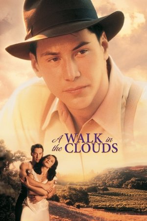 Watch Free A Walk in the Clouds (1995)