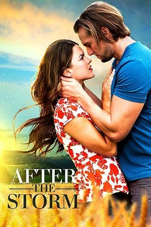 Watch Free After the Storm (2019)