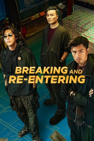 Watch Free Breaking and Re entering (2024)
