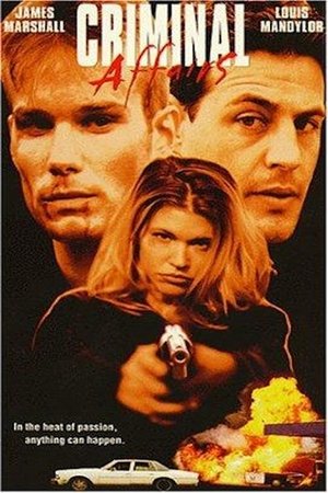 Watch Free Criminal Affairs (1997)