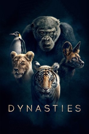 Watch Free Dynasties (2018 )