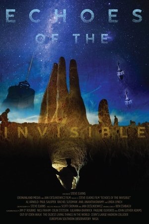 Watch Free Echoes of the Invisible (2020)