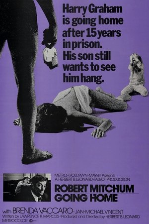 Watch Free Going Home (1971)