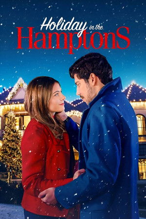 Watch Free Holiday in the Hamptons (2024)