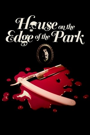 Watch Free House on the Edge of the Park (1980)