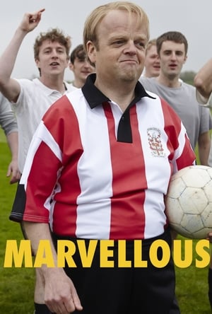 Watch Free Marvellous 2014