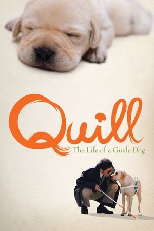 Watch Free Quill: The Life of a Guide Dog (2004)