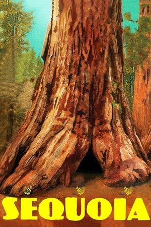 Watch Free Sequoia (2014)