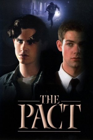 Watch Free The Secret Pact (2001)