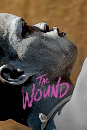 Watch Free The Wound (2017)