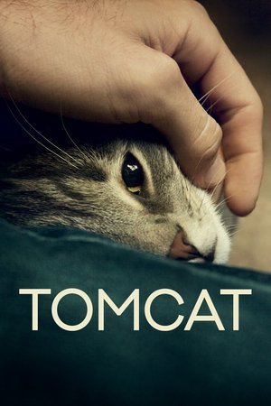 Watch Full Movie: Tomcat (2016)