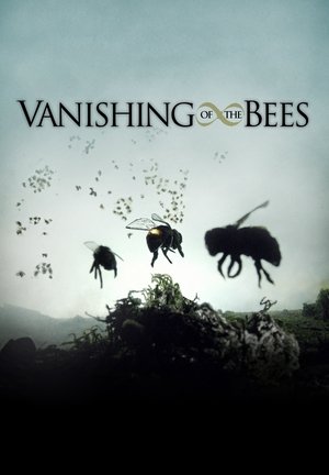 Watch Free Vanishing of the Bees (2009)