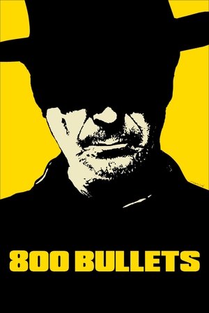 Watch Free Eight Hundred Bullets (2002)