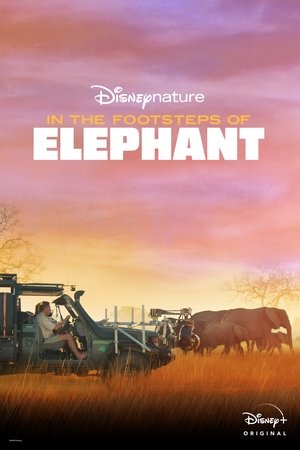 Watch Free In the Footsteps of Elephant (2020)