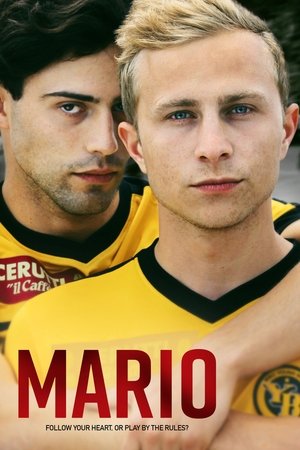 Watch Free Mario (2018)