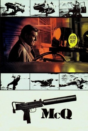 Watch Free McQ (1974)