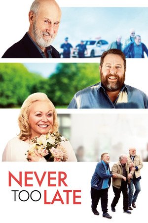 Watch Free Never Too Late (2020)