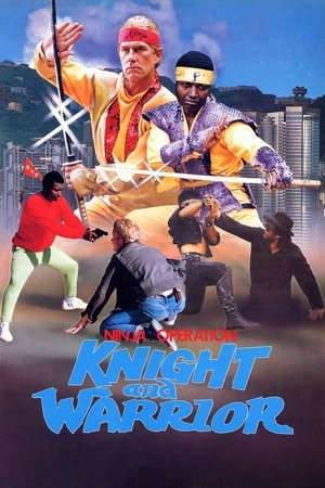 Watch Free Ninja Silent Assassin (1987)
