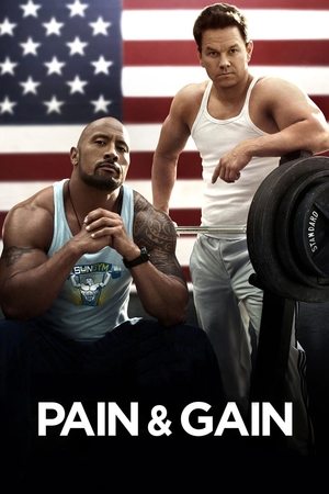 Watch Free Pain & Gain (2013)