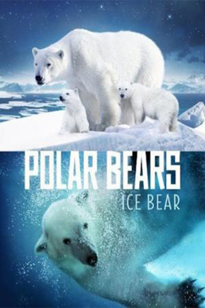 Watch Free Polar Bears: Ice Bear (2013)