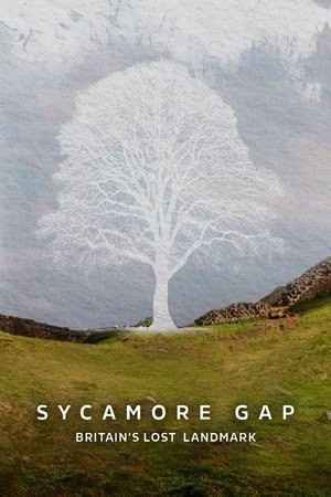 Watch Free Sycamore Gap Britains Lost Landmark (2025)