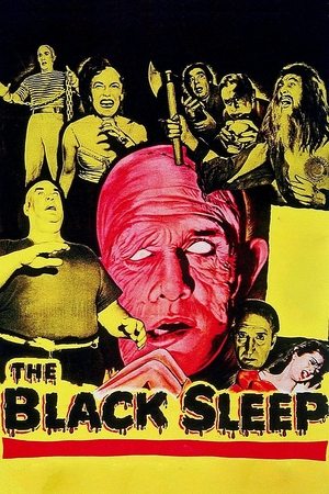 Watch Free The Black Sleep (1956)