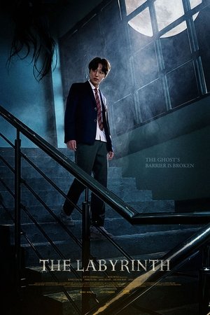 Watch Free The Labyrinth (2021)