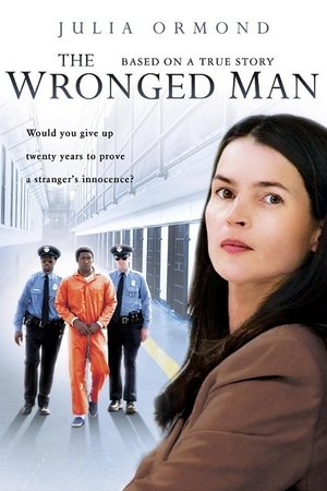 Watch Free The Wronged Man (2010)