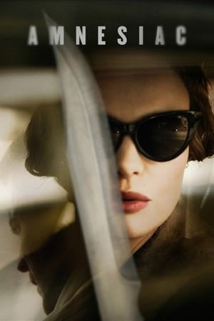 Watch Free Amnesiac (2015)