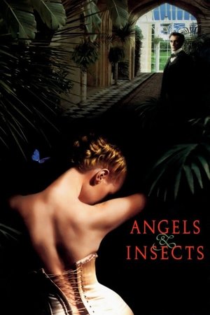 Watch Free Angels and Insects (1995)