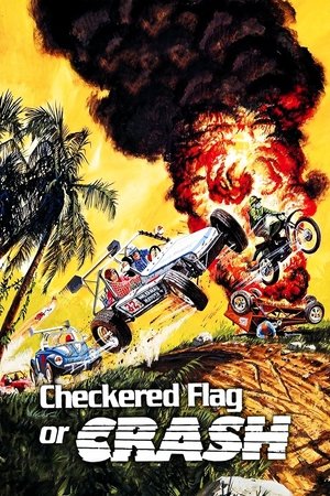 Watch Free Checkered Flag or Crash (1977)