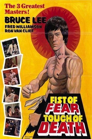 Watch Free Fist of Fear, Touch of Death (1980)