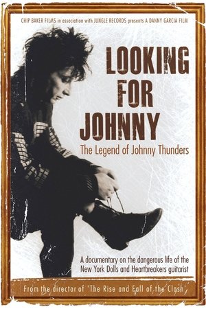 Watch Free Looking for Johnny (2014)