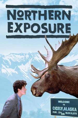 Watch Free Northern Exposure (19901995)