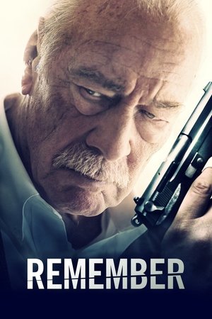Watch Free Remember (2015)