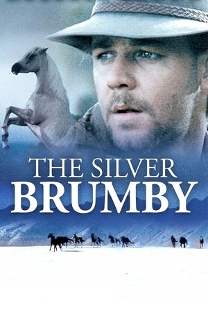 Watch Free The Silver Brumby (1993)