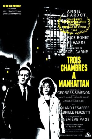 Watch Free Three Rooms in Manhattan (1965)