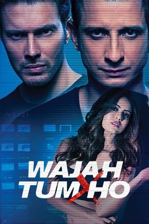 Watch Free Wajah Tum Ho (2016)