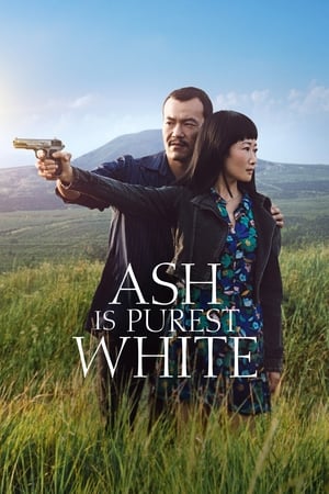 Watch Free Ash Is Purest White (2018)