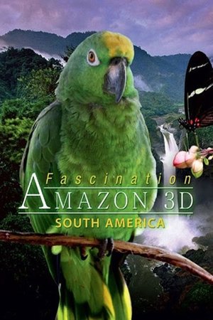 Watch Free Fascination Amazon 3D (2012)