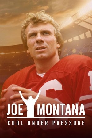 Watch Free Untitled Joe Montana Documentary (2022-)